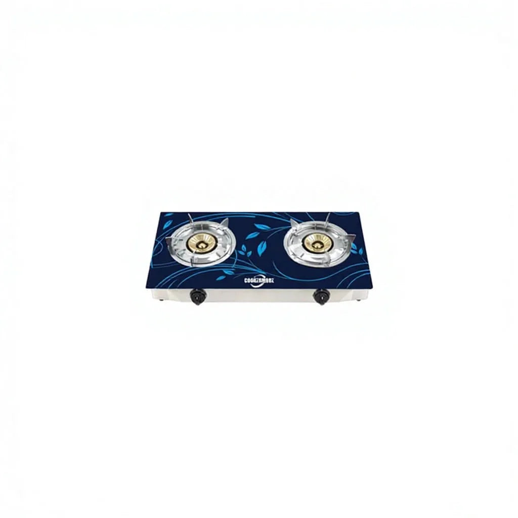 Ruifen High-Efficiency 2-Burner Stainless Steel Gas Stove - B2B Kitchen Standard