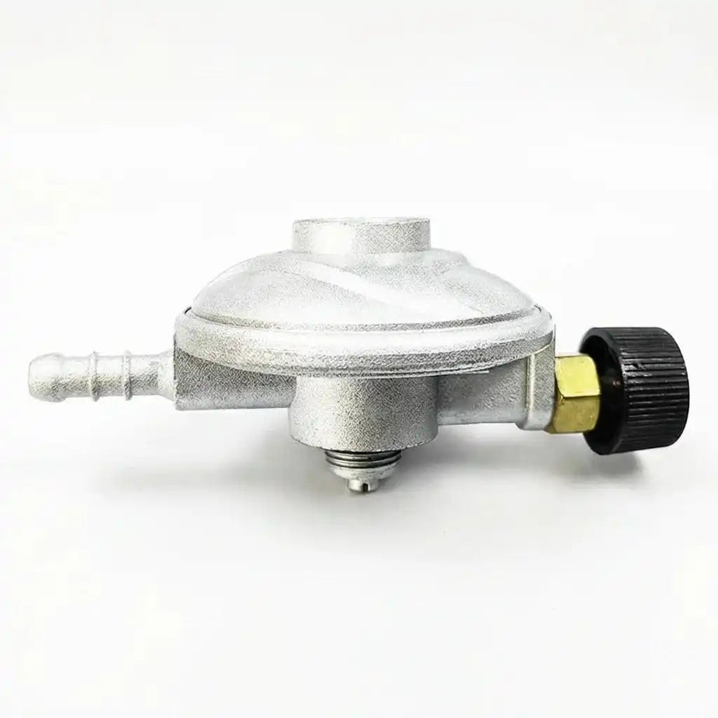 Ruifen Professional Gas Regulator - Industrial Standard | High-Durability B2B Accessory