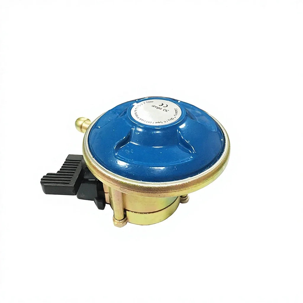 Ruifen Complete LPG Connection Kit - Low-Pressure Regulator & Reinforced Hose Set